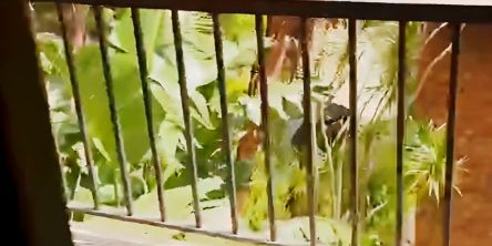 2 beds 1 bath - Photo 3