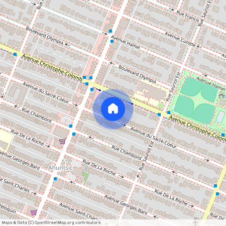 10225 Av. du Sacré-Coeur, H2C 2S6, H2C 2S6, Montréal