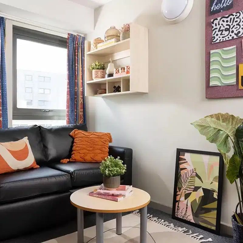 Extra Large Highest Double Studio - Photo 1