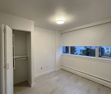 Camelia Court - Photo 3