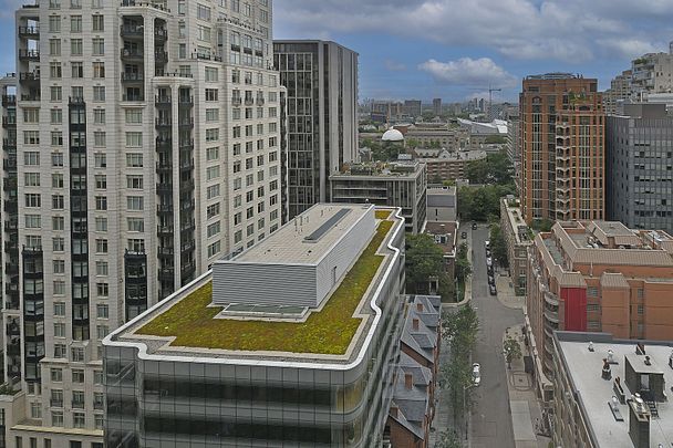 Yorkville Penthouse - Photo 1