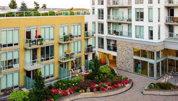 The Alexander - Photo 1