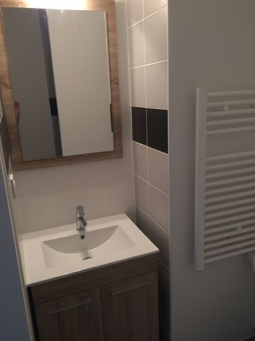 Location Appartement 1 pièce 22m² ISLE 87170 - Photo 2
