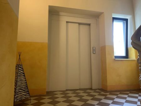 Gemütliche 2 Raumwohnung in Görlitzer Innenstadt mit Fahrstuhl - Foto 3