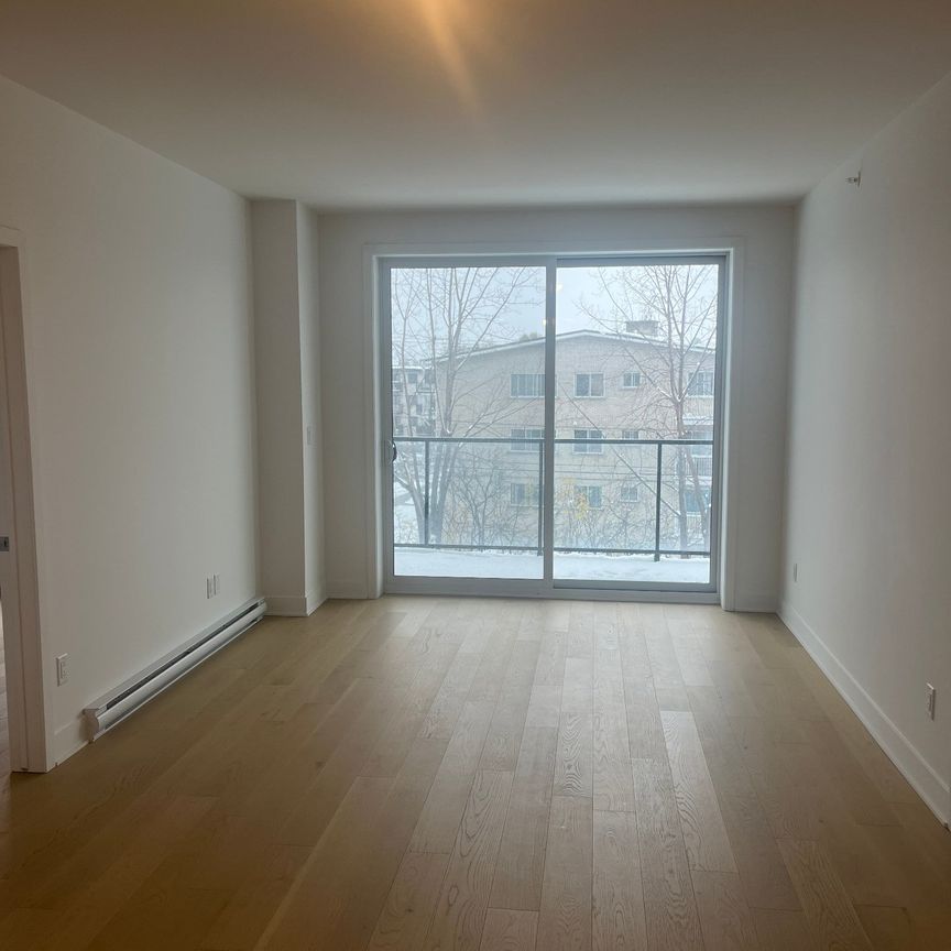 10130 Rue Lauraine Vaillancourt - Photo 1