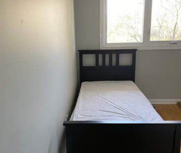 1260 Field St - Photo 5