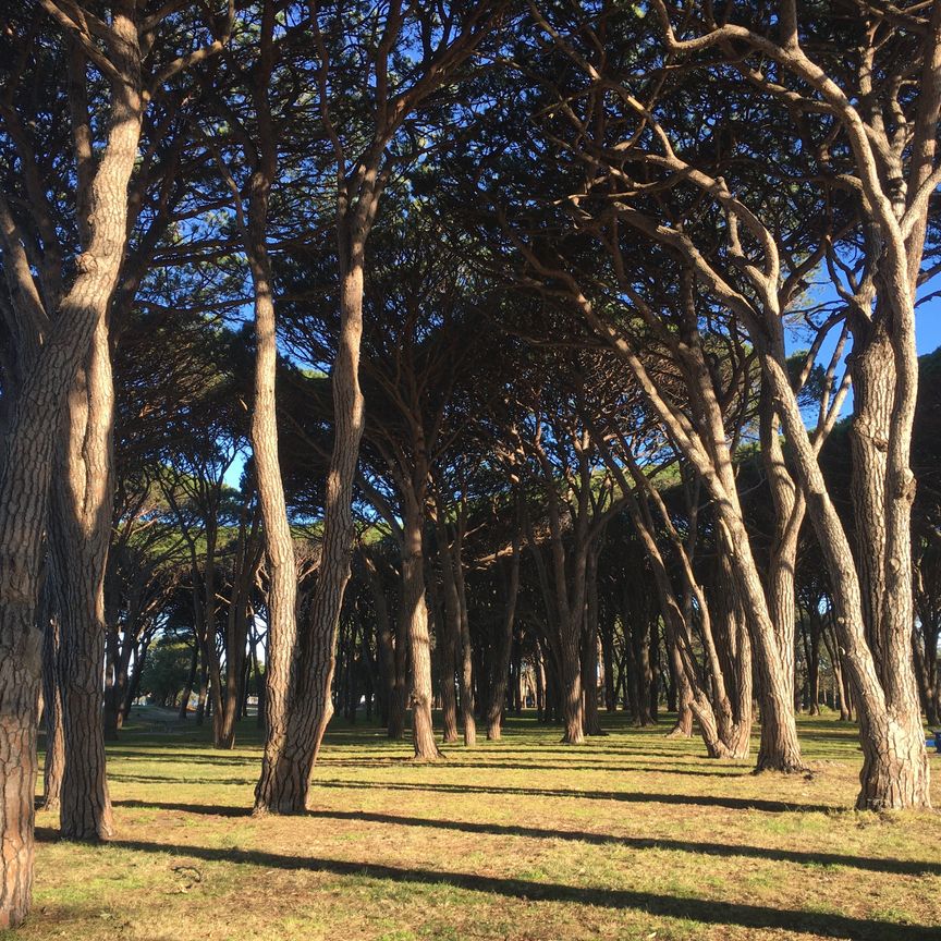 Sans Souci - Photo 1