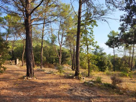 CABANON T1 MEUBLE - Photo 5