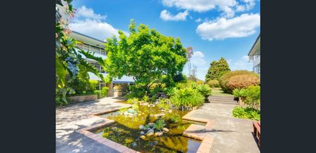 3B/40 Cope Street, Lane Cove NSW 2066 - Apartment For Rent | Domain - Photo 3