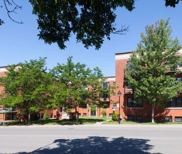 4745 Queen Mary Road - Photo 6