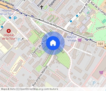 Appartement de 4 pièces à Meyrin - Photo 1