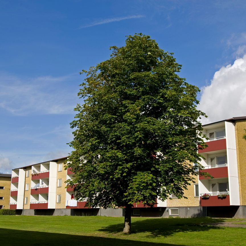 Trebackalånggatan 166 - Foto 2