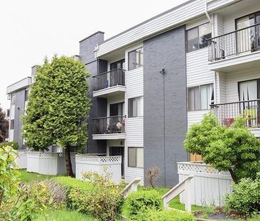 Chelsea Park Gardens - Photo 1