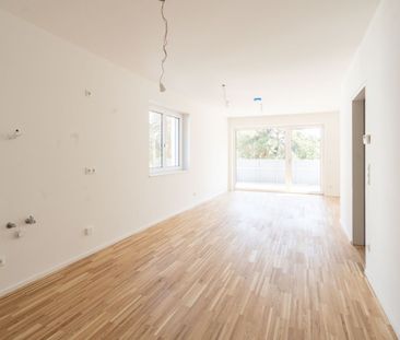 Moderne 2-Zimmer-Wohnung mit Terrasse in Nettingsdorf zu mieten! - Photo 3