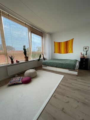 Studio Pelikaanstraat – Assen - Foto 1