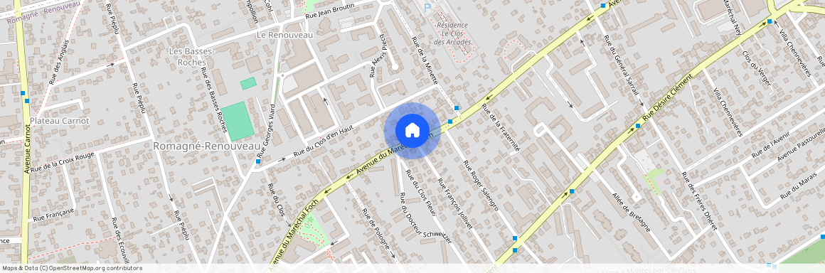 Conflans-Sainte-Honorine