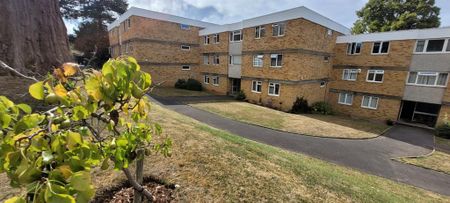 1 bedroom in a flat share to rent - Photo 5