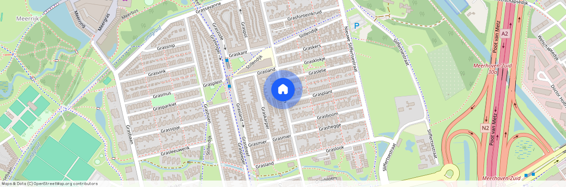 Grasbloem, Eindhoven