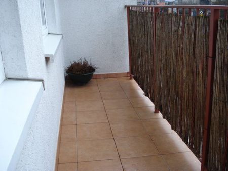 4 pokoje na wynajem - Zdjęcie 2