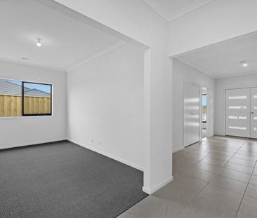 Spacious Family Living in Junction Village - Photo 1
