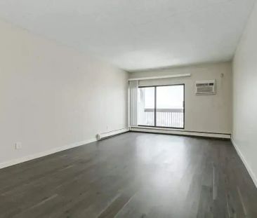 1 Bedroom - Photo 4
