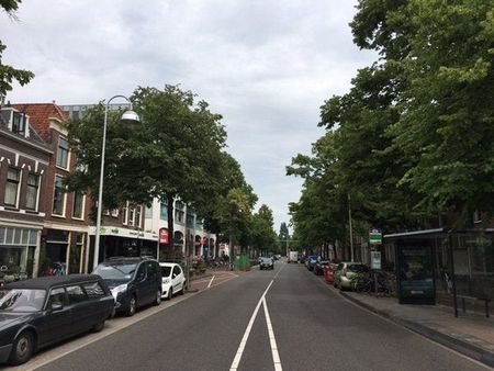 Te huur: Kamer Levendaal in Leiden - Photo 2