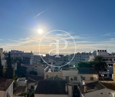 Flat for rent with Terrace in El Terreno - Photo 6