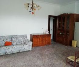 Βίλα για ενοικίαση - Μαρκόπουλο Ωρωπού, - Photo 4