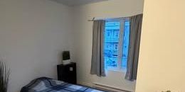 🚨 CHAMBRE À LOUER ! 1er JUILLET - Photo 3
