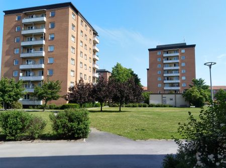 Sibeliusgatan 1 - Photo 4