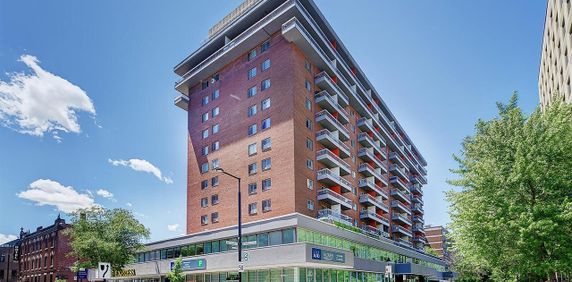 1 Bedroom - 1570 St-Timothée, Montréal - Photo 2