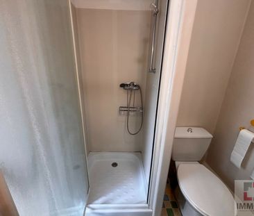 Location Appartement 1 pièce 20m² CAHORS 46000 - Photo 3