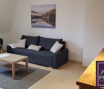 Apartament w centrum Jeleniej Góry do wynajęcia - Photo 2