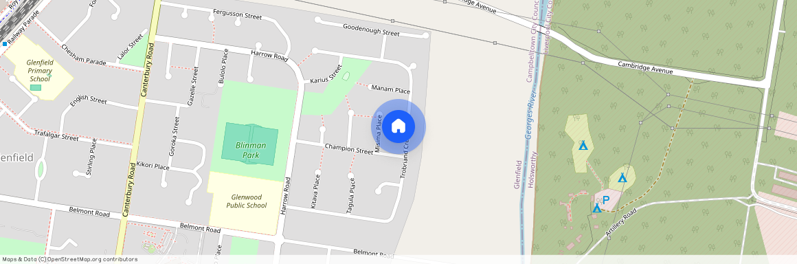 41 Trobriand Cr, NSW 2167, Glenfield