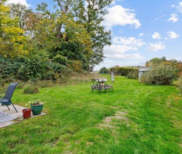 Recently refurbished three bed house with large private garden - Photo 5