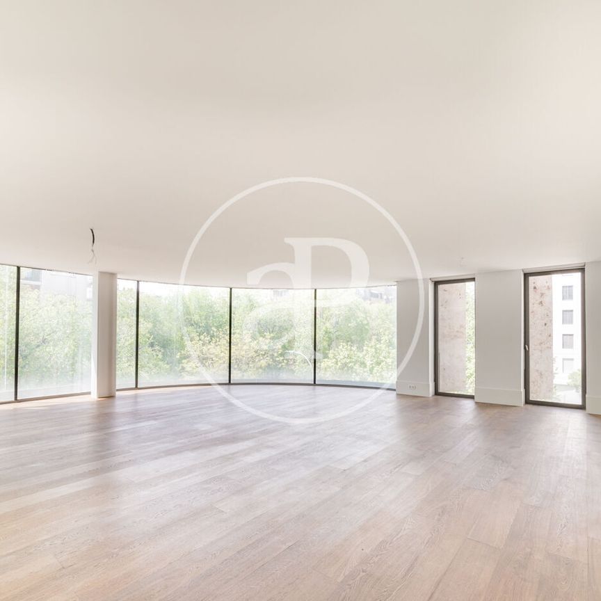 Flat for rent in Castellana (Madrid) - Photo 1