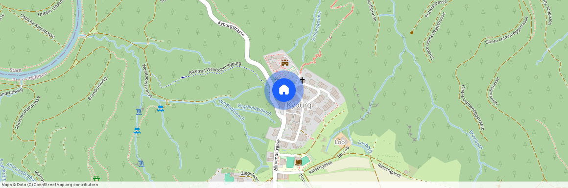 8314, Kyburg, Dorfstrasse, 9