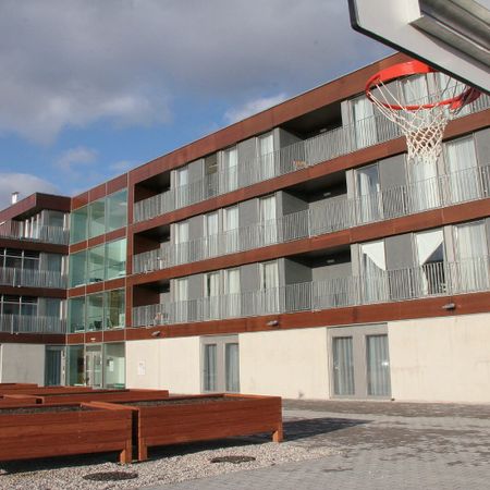 BADEN LEESDORF III/1 - Foto 3