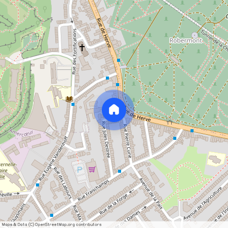 Rue Jules Destrée 58, 4030, Grivegnée