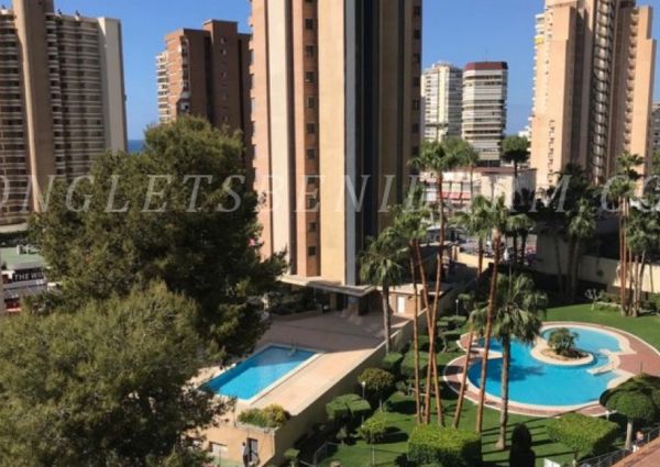 REF. 1754-Benidorm-925€