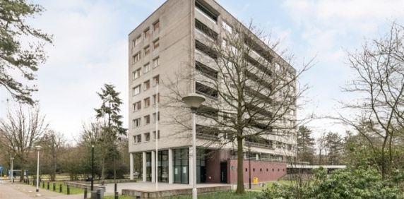 Magentahof 0ong, 5044 SJ Tilburg, Nederland - Foto 2