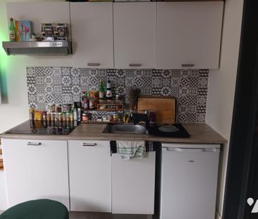 A louer Appartement T1 Bis - Photo 3