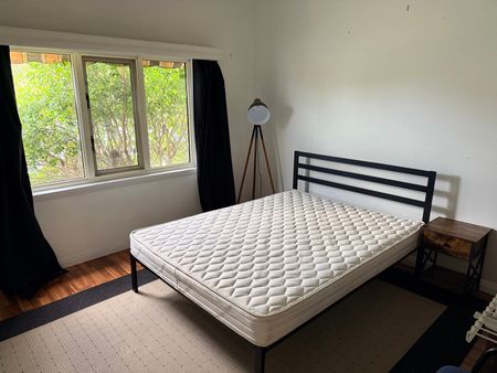 New Lambton - Photo 4