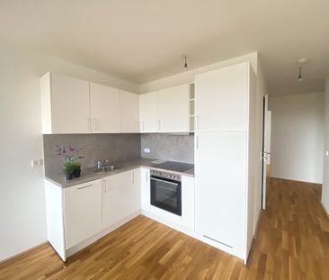 ERSTBEZUG Top Wohnung U3 2 Zimmer + Loggia - 1 bedroom apartment + ... - Foto 5