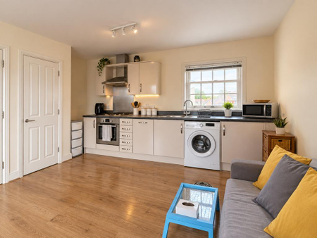 1 bedroom studio to rent - Photo 3