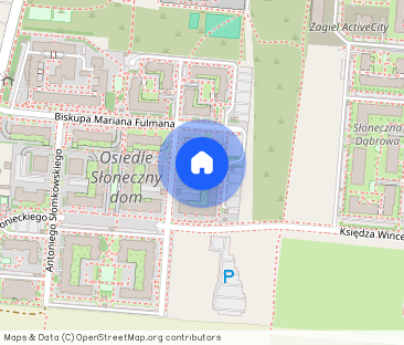 50 metrów po odświeżeniu z dużym balkonem i garażem - Zdjęcie 1