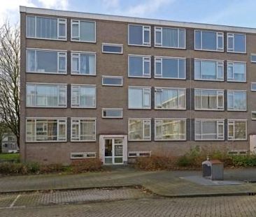 Quadenoord 0ong, 3079 Rotterdam, Nederland - Foto 2