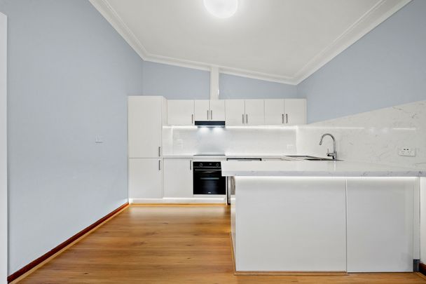 162 Mount Street, Coogee NSW 2034 - House For Rent | Domain - Photo 1