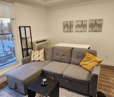 Sole Rutland 1 Bed 1 Bath - Photo 3