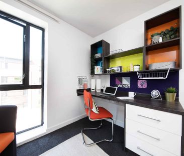 Gold Accessible Studio - Photo 5